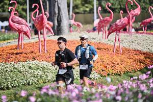 BIB: 
                            <button type="button" onclick="openModal(27793067)" class="btn btn-primary btn-sm float-right btn-popup" data-toggle="modal" data-target=".modal-high-quality">
                        <i class="fas fa-shopping-cart"></i> Add to Cart
                    </button>
                                            <button type="button" onclick="isThisMe(27793067, true)" class="btn btn-success btn-sm float-right btn-popup btn-isme hidden" data-toggle="tooltip" data-placement="bottom" title="นี่คือรูปของคุณใช่ไหม คลิกที่นี่เพื่อเอาเข้าอัลบั้ม">
                        <i class="fas fa-plus"></i> Add to album
                    </button>
                    <button type="button" onclick="isThisMe(27793067, false)" class="btn btn-warning btn-sm float-right btn-popup btn-isnotme hidden">
                        <i class="fas fa-ban"></i> Remove from album
                    </button>